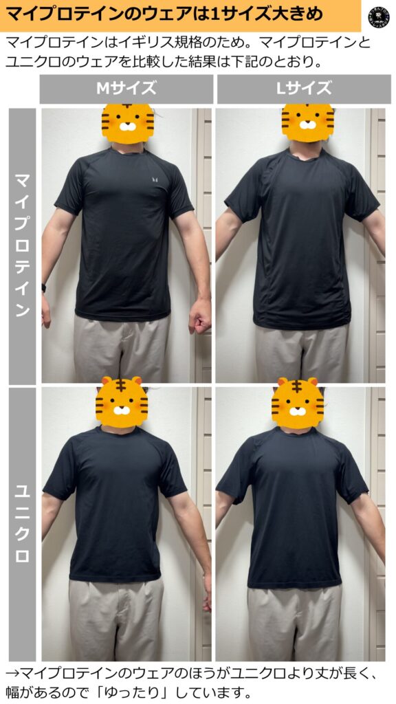 マインプロテインのウェアとユニクロのウェアのサイズ感を比較結果